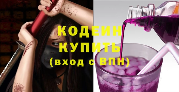 соль ск Гусев