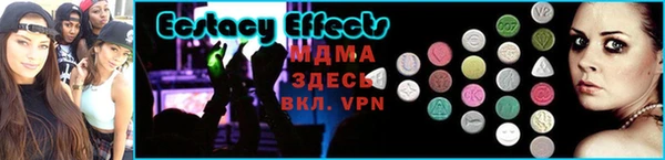 стаф Магас