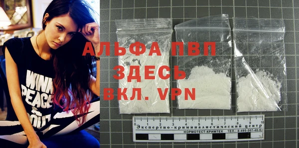 прущие грибы Магадан