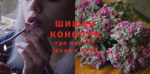соль ск Гусиноозёрск