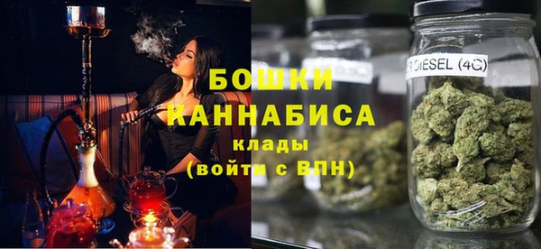 соль ск Гусиноозёрск