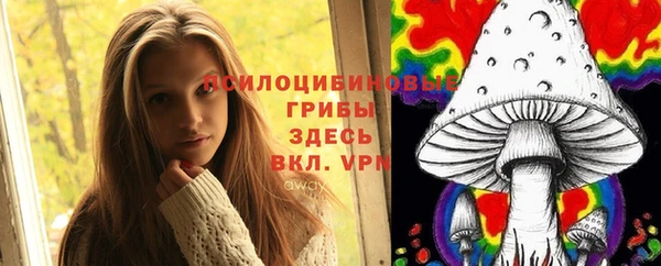 соль ск Гусиноозёрск