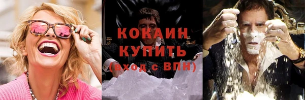 соль ск Гусев