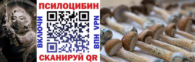 МЕГА как зайти  Енисейск  Галлюциногенные грибы мицелий 